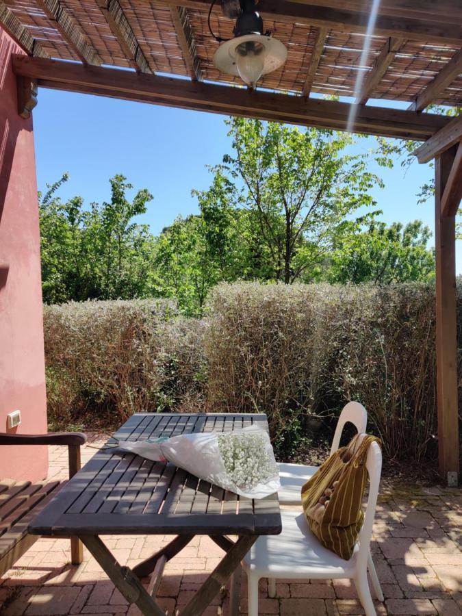 Villa Agriturismo Le Pellicce Riparbella Exterior foto