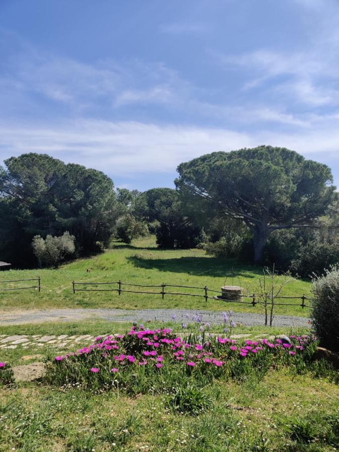 Villa Agriturismo Le Pellicce Riparbella Exterior foto